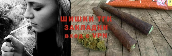 прущие грибы Верхний Тагил