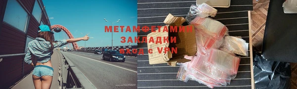 прущие грибы Верхний Тагил