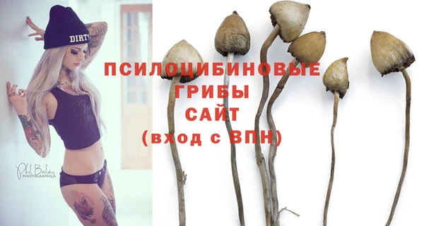 гидра Верея