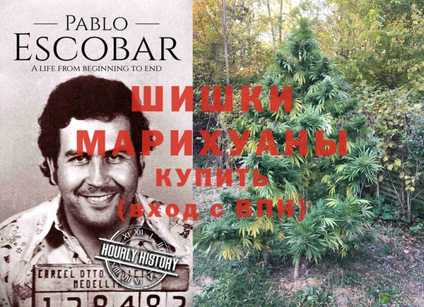 гидра Верея