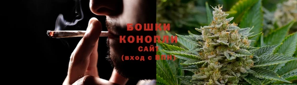 прущие грибы Верхний Тагил
