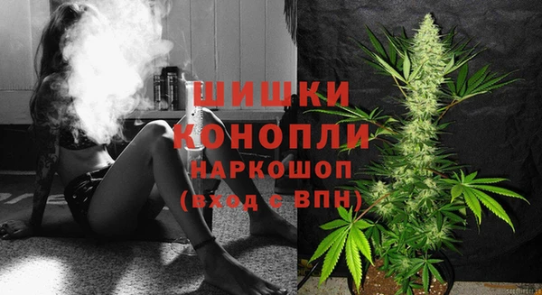 гидра Верея
