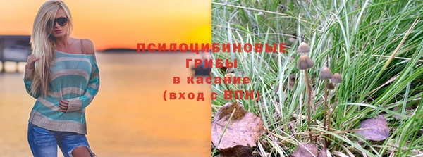 гидра Верея
