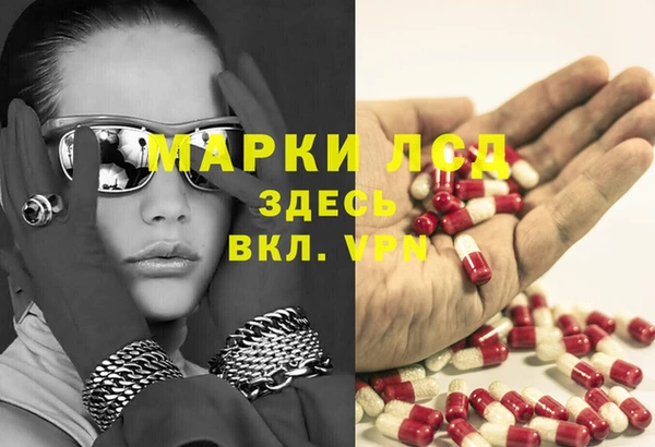 прущие грибы Верхний Тагил