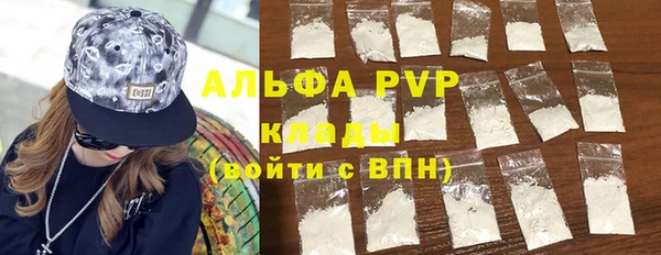 прущие грибы Верхний Тагил