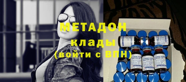 прущие грибы Верхний Тагил