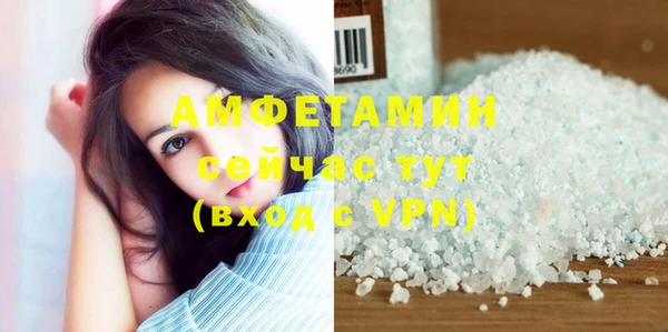 прущие грибы Верхний Тагил