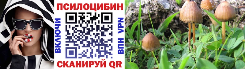 Галлюциногенные грибы Cubensis  Мончегорск 